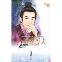 逍遥丐夫（扬州三奇花外传-人间奇侠之三）