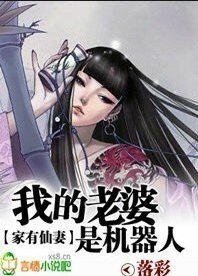 特工系列：相公，别碰我呀！（又名：家有仙妻：我的老婆是机器人）