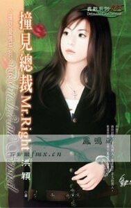 撞见总裁Mr.Right （撞见爱情之一）