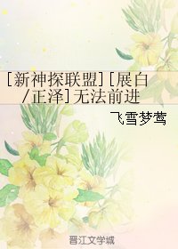 （新神探联盟同人）[新神探联盟][展白/正泽]无法前进