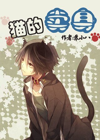 猫的卖身