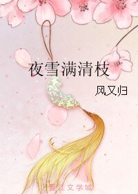 夜雪满清枝