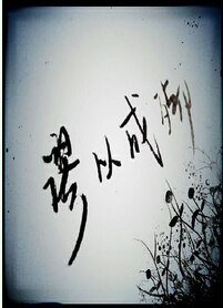 谬以成殇