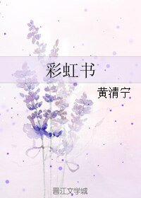 彩虹书