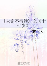 未完不待续之十七岁