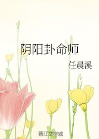 阴阳卦命师
