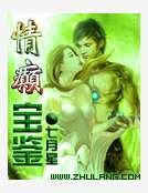 情癫宝鉴