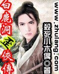 白鹿洞歪侠传