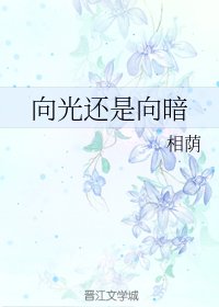 向光还是向暗