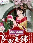 《良田美锦:夫君,来收账》