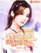 设计师小姐的情痴老公