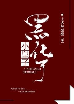 《小皇子》