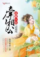 迷糊小仙，牵个相公去造反