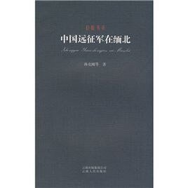 中国远征军缅北征战纪实（出书版）