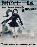 黑色十三区