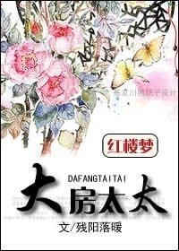 （红楼同人）红楼之大房太太