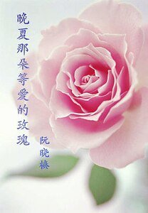 晚夏那朵等爱的玫瑰
