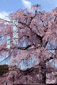 树影宛初