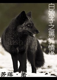 （白蛇传同人）白娘子之黑狐情缘
