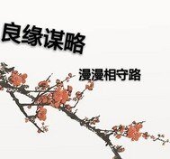 良缘谋略漫漫相守路