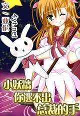 小妖精难逃总裁的手