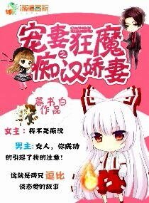 宠妻狂魔之痴汉娇妻
