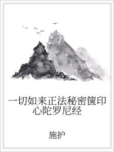 一切如来正法秘密箧印心陀罗尼经