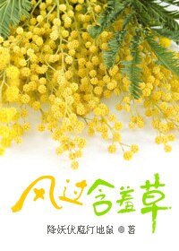 风过含羞草