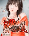 总裁独宠娇妻/总裁的独宠妻