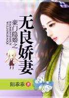 豪门隐婚之无良哈妻