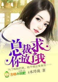 总裁，求你放了我