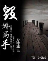 毁婚高手（高干-军婚）