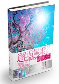 邂逅温柔，遇见你