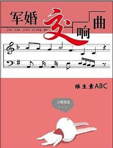 军婚交响曲