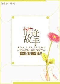 情逢敌手