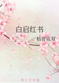 沙启评书