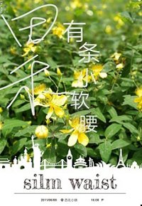 田禾有条小软腰