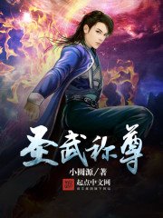 《圣武称尊》
