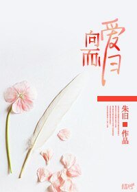 向爱而归