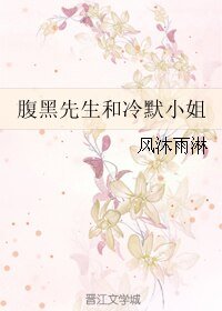 腹黑先生和冷默小姐