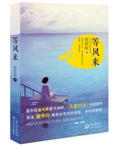 等风来/游记，或是指南（出书版）