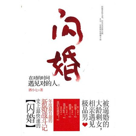 《闪婚(原名:老婆,跟我回家吧)》