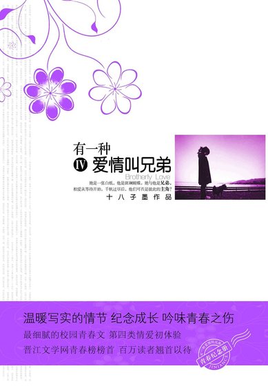 有一种爱情叫兄弟（出书版）