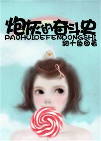 炮灰的奋斗史
