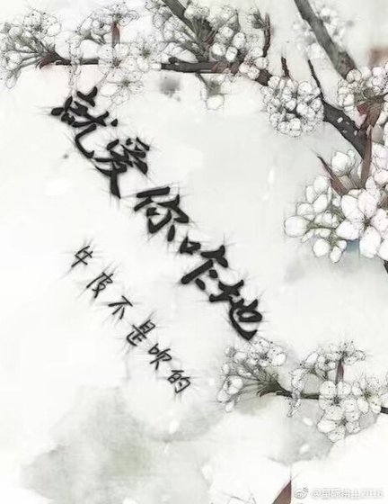 就爱你咋地