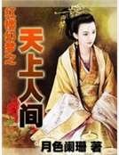 红楼幻梦之天上人间