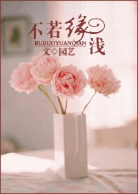 不若缘浅