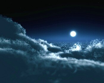 明月夜白衣