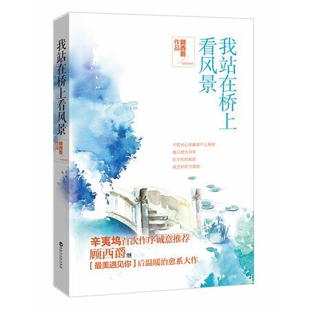 我站在桥上看风景（出书版）