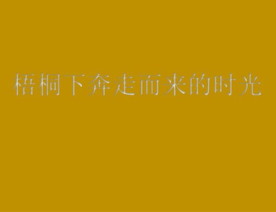 梧桐下奔走而来的时光
